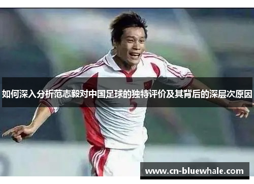 如何深入分析范志毅对中国足球的独特评价及其背后的深层次原因
