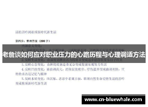 老詹谈如何应对职业压力的心路历程与心理调适方法