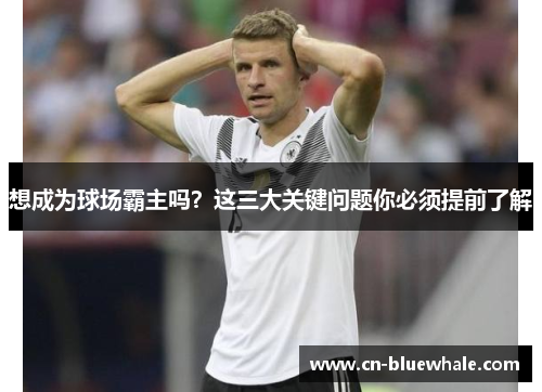 想成为球场霸主吗？这三大关键问题你必须提前了解