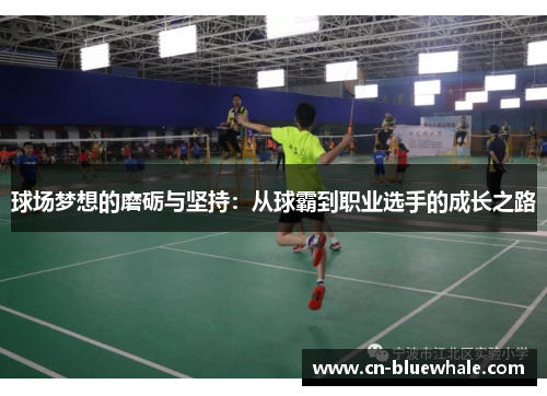 球场梦想的磨砺与坚持：从球霸到职业选手的成长之路