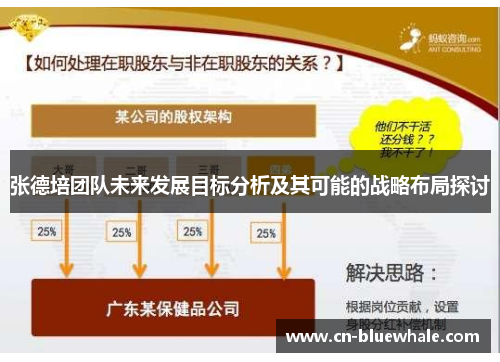 张德培团队未来发展目标分析及其可能的战略布局探讨
