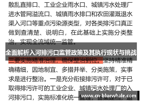 全面解析入河排污口监管政策及其执行现状与挑战