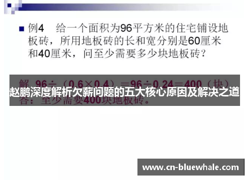 赵鹏深度解析欠薪问题的五大核心原因及解决之道