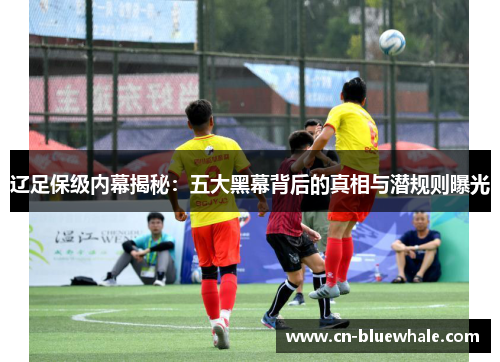 辽足保级内幕揭秘：五大黑幕背后的真相与潜规则曝光