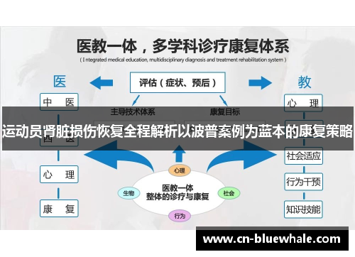 运动员肾脏损伤恢复全程解析以波普案例为蓝本的康复策略