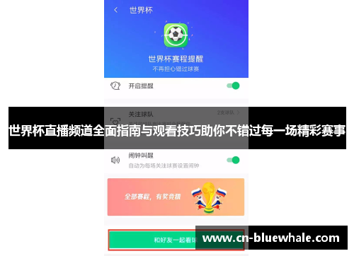 世界杯直播频道全面指南与观看技巧助你不错过每一场精彩赛事